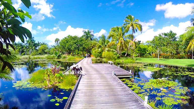 Lush scenery at Naples Botanical Garden Lush scenery at Naples Botanical Garden