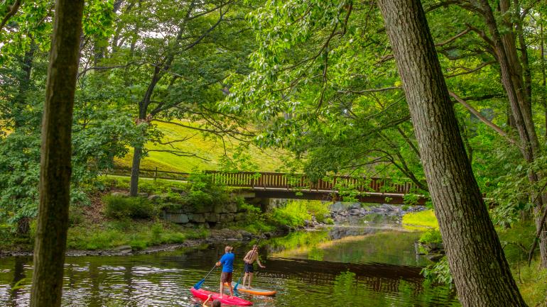 Paddleboarding along calm creeks in the Poconos Paddleboarding along calm creeks in the Poconos