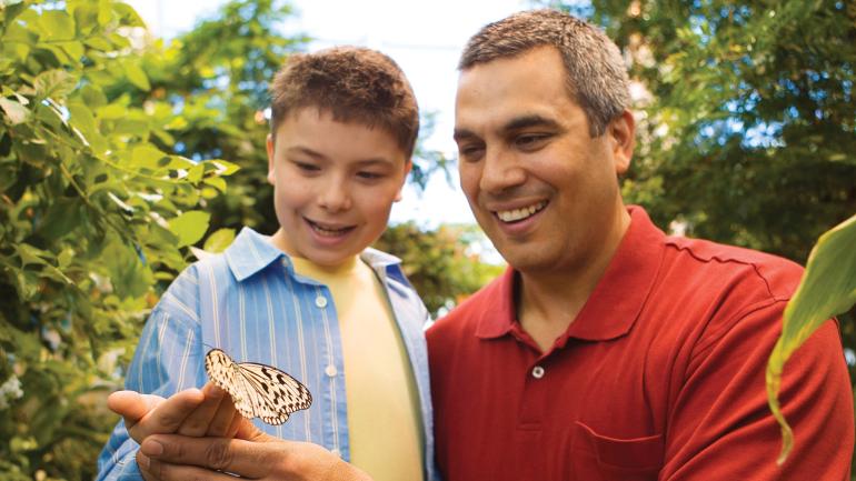 Butterfly encounters in the Dancing Wings Butterfly Garden Butterfly encounters in the Dancing Wings Butterfly Garden