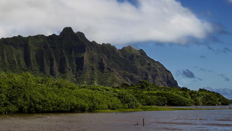 Typisch hawaiianische Kulisse im Kahaluu Bay Beach Park Typisch hawaiianische Kulisse im Kahaluu Bay Beach Park