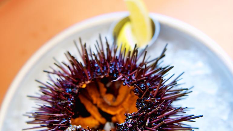 Find freshly caught seafood straight from the Santa Barbara Channel on your table. Find freshly caught seafood straight from the Santa Barbara Channel on your table.