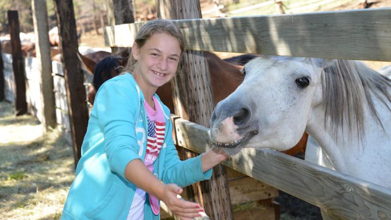 Petting a horse at Elk Mountain Ranch in Colorado Petting a horse at Elk Mountain Ranch in Colorado