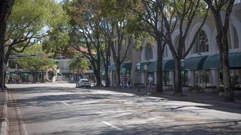 Charming tree-lined streets in Coconut Grove Charming tree-lined streets in Coconut Grove
