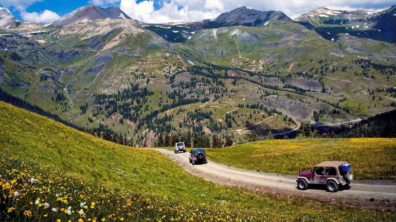 Wildflowers carpet the mountain landscape along a scenic byway in Ouray, Colorado Wildflowers carpet the mountain landscape along a scenic byway in Ouray, Colorado