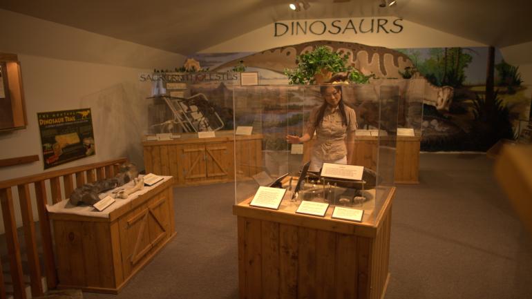 Dinosaur fossil exhibit at the Old Trail Museum near Choteau Dinosaur fossil exhibit at the Old Trail Museum near Choteau