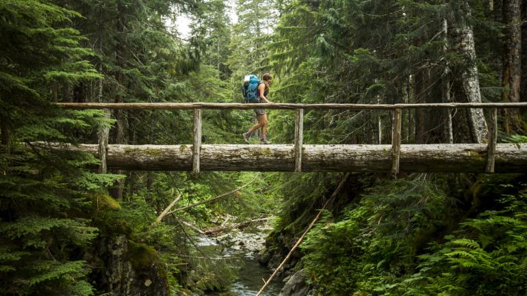Crossing a footbridge while backpacking in Olympic National Park Crossing a footbridge while backpacking in Olympic National Park