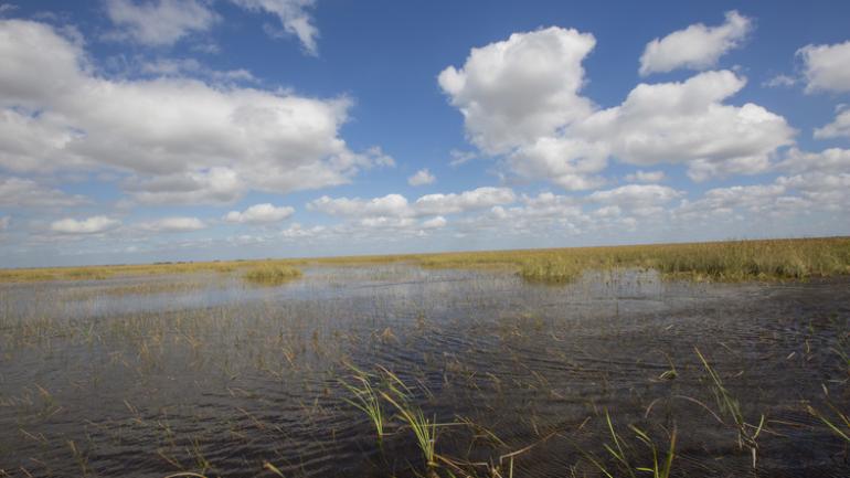 Airboat tour of the Everglades from Sawgrass Recreation Park near Fort Lauderdale Airboat tour of the Everglades from Sawgrass Recreation Park near Fort Lauderdale