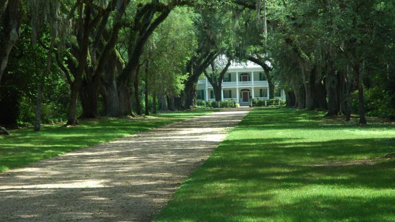 Scenic path leads to a plantation in St. Francisville, Louisiana Scenic path leads to a plantation in St. Francisville, Louisiana