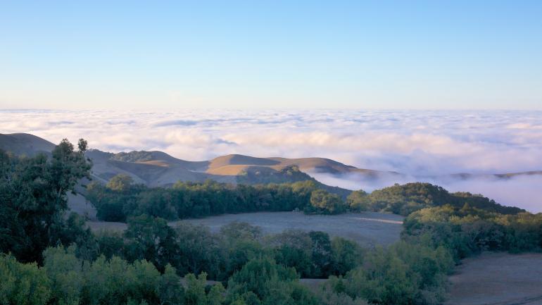 The Summerland Winery Vineyard in Paso Robles offers stunning views of the rolling landscape. The Summerland Winery Vineyard in Paso Robles offers stunning views of the rolling landscape.