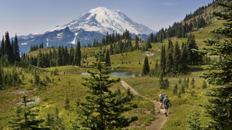 Hiking a trail on a sunny afternoon in Mount Rainier National Park Hiking a trail on a sunny afternoon in Mount Rainier National Park