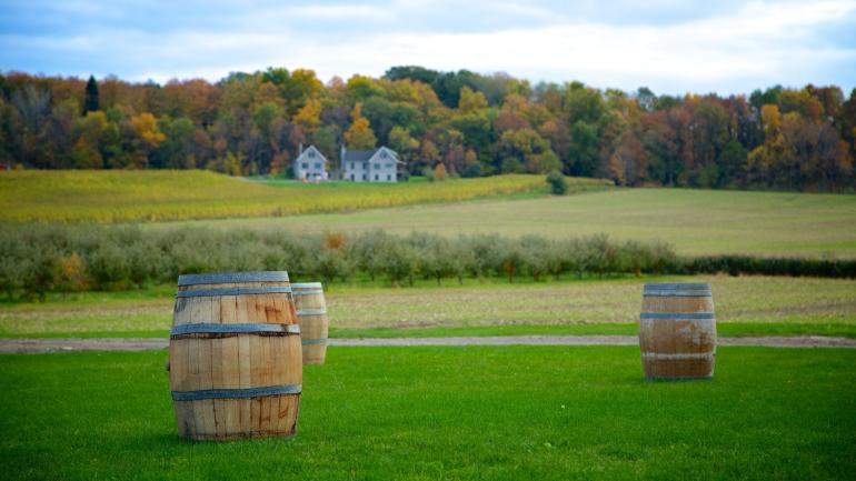 Pastoral view along the Niagara Wine Trail Pastoral view along the Niagara Wine Trail