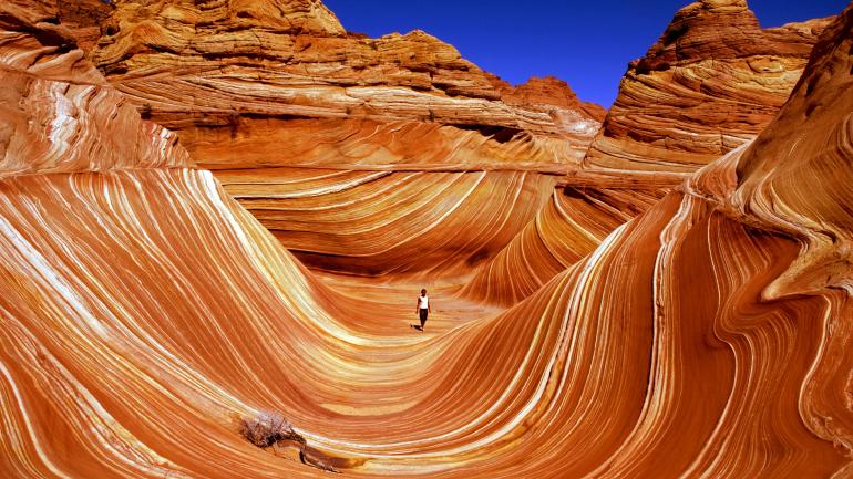 The Wave at Vermilion Cliffs National Monument The Wave at Vermilion Cliffs National Monument