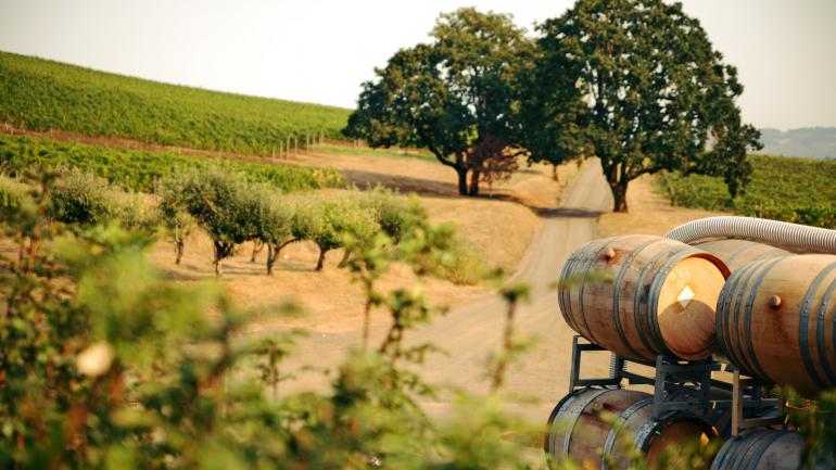 Oregon wine country Oregon wine country