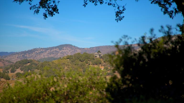 Take a scenic drive through the vineyards and rolling landscape of Napa Valley, California. Take a scenic drive through the vineyards and rolling landscape of Napa Valley, California.