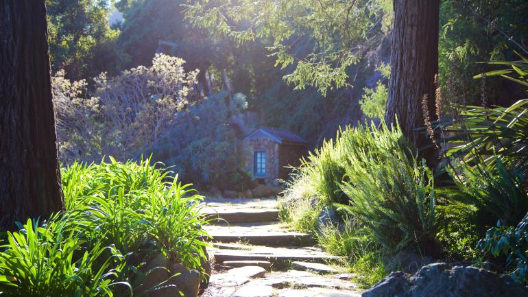 Serene atmosphere of Parkland in Sausalito, California. Serene atmosphere of Parkland in Sausalito, California.