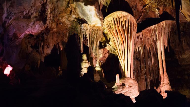 Stalactite formations in Lehman Caves, Great Basin National Park Stalactite formations in Lehman Caves, Great Basin National Park