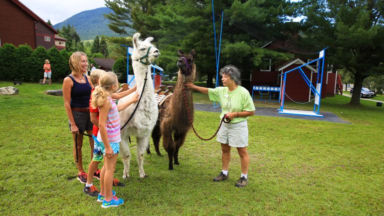 Trek avec un lama à Smugglers' Notch, Vermont Trek avec un lama à Smugglers' Notch, Vermont