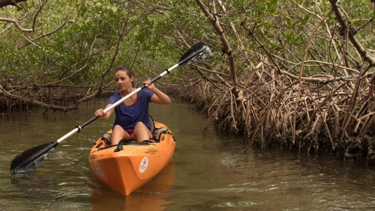 Faites du kayak dans les mangroves en empruntant l'un des nombreux cours d'eau du comté de Charlotte Faites du kayak dans les mangroves en empruntant l'un des nombreux cours d'eau du comté de Charlotte