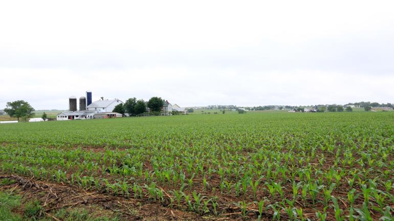Open Amish farmlands in Lancaster Open Amish farmlands in Lancaster