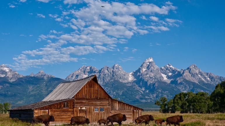 The Grand Tetons and the Moulton barn, two of Wyoming's iconic sites The Grand Tetons and the Moulton barn, two of Wyoming's iconic sites