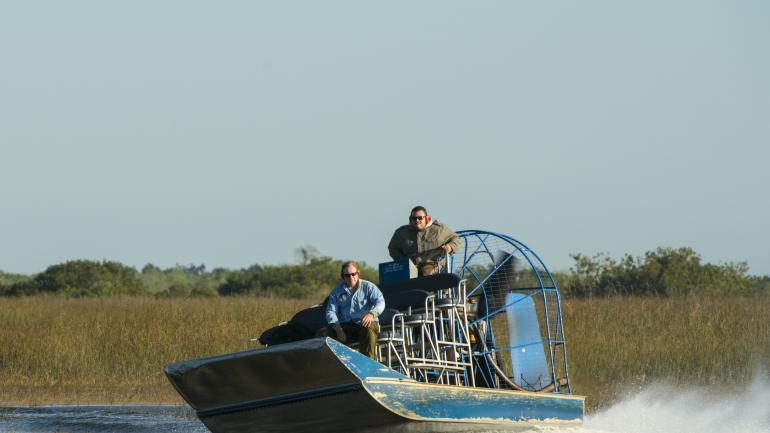 Passeio de aerobarco por Everglades Passeio de aerobarco por Everglades