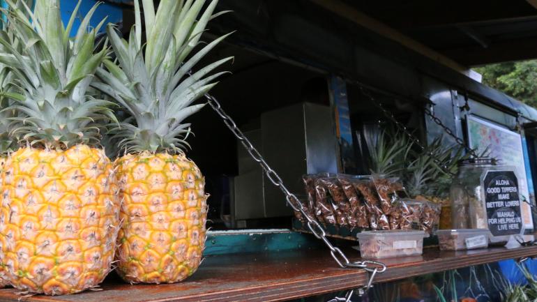 Die Ananas, ein Symbol für Wohlstand, Gastfreundlichkeit und Glück Die Ananas, ein Symbol für Wohlstand, Gastfreundlichkeit und Glück
