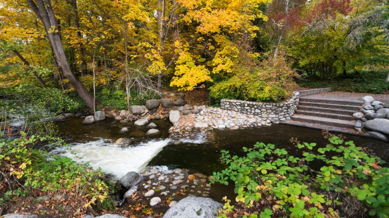 Autumn day at Lithia Park in Ashland Autumn day at Lithia Park in Ashland
