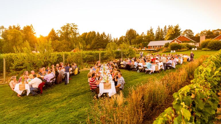 Dinner in the field at Terra Vina Wines in Wilsonville Dinner in the field at Terra Vina Wines in Wilsonville