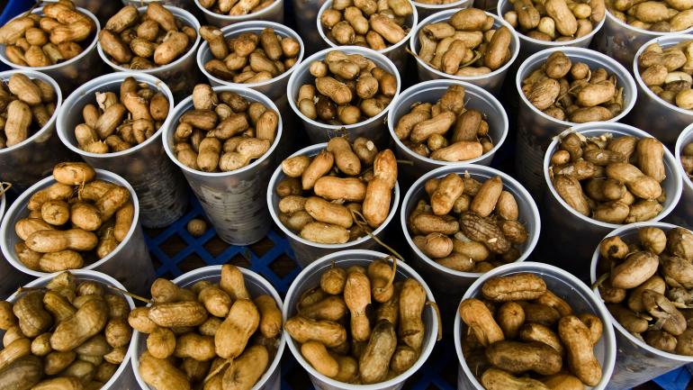Boiled peanuts, a staple in South Carolina Boiled peanuts, a staple in South Carolina