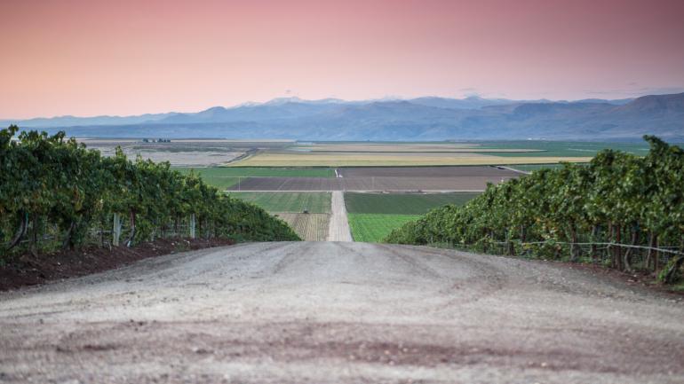 Idaho wine country in the Snake River Valley at sunset Idaho wine country in the Snake River Valley at sunset