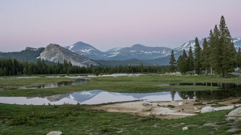 The verdant expanse of Tuolumne Meadows The verdant expanse of Tuolumne Meadows