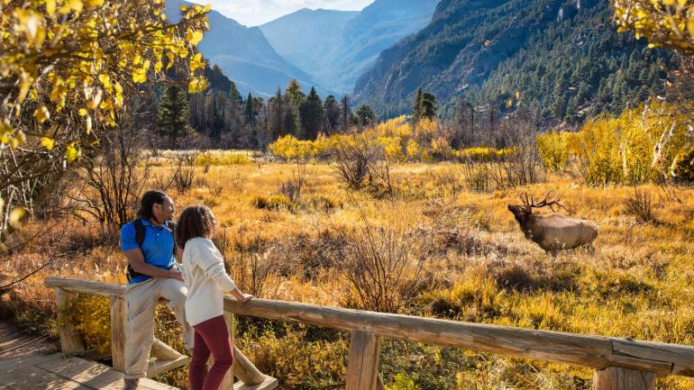 Watching an elk on a glorious autumn day in Estes Park Watching an elk on a glorious autumn day in Estes Park