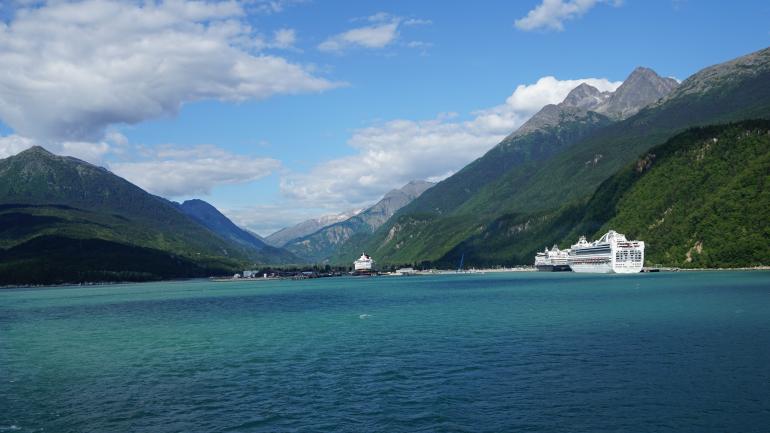 Day Trip: A Wildlife Cruise Day Trip: A Wildlife Cruise