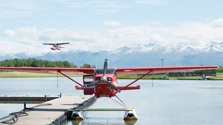 See Enormous Brown Bears in the Wild: Katmai National Park See Enormous Brown Bears in the Wild: Katmai National Park