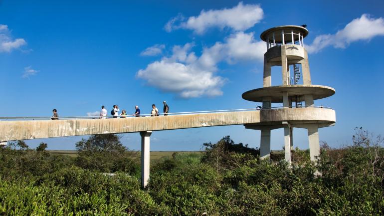 The observation tower on the Shark Valley Tram Tour in Everglades National Park, Florida The observation tower on the Shark Valley Tram Tour in Everglades National Park, Florida