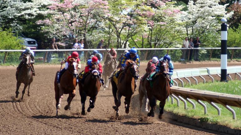 Thoroughbreds catapult toward the finish line at a horse race in Keeneland, Kentucky Thoroughbreds catapult toward the finish line at a horse race in Keeneland, Kentucky
