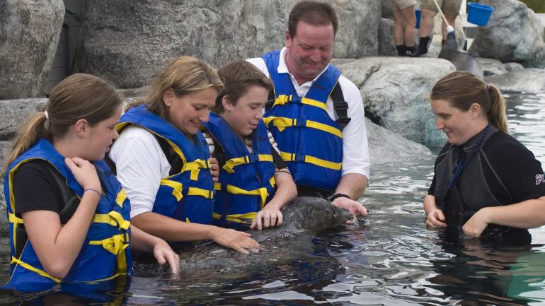Take the family behind-the-scenes to meet a seal at the Virginia Aquarium Take the family behind-the-scenes to meet a seal at the Virginia Aquarium