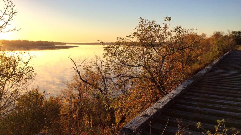 Fall foliage surrounding a boardwalk path next to the Missouri River in Bismarck, South Dakota Fall foliage surrounding a boardwalk path next to the Missouri River in Bismarck, South Dakota