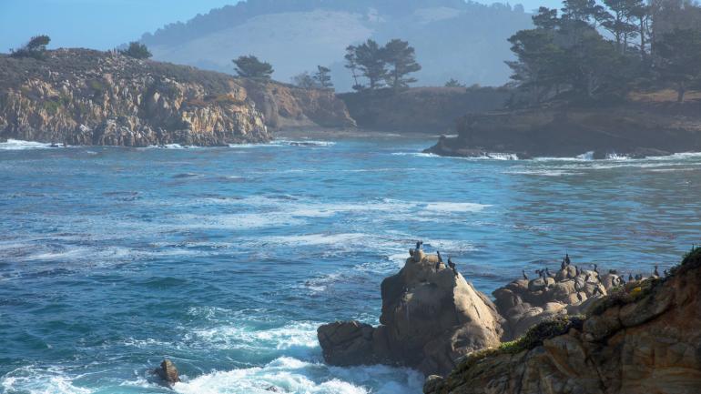Meadows, rocky shoreline and underwater habitats at Point Lobos State Natural Reserve Meadows, rocky shoreline and underwater habitats at Point Lobos State Natural Reserve