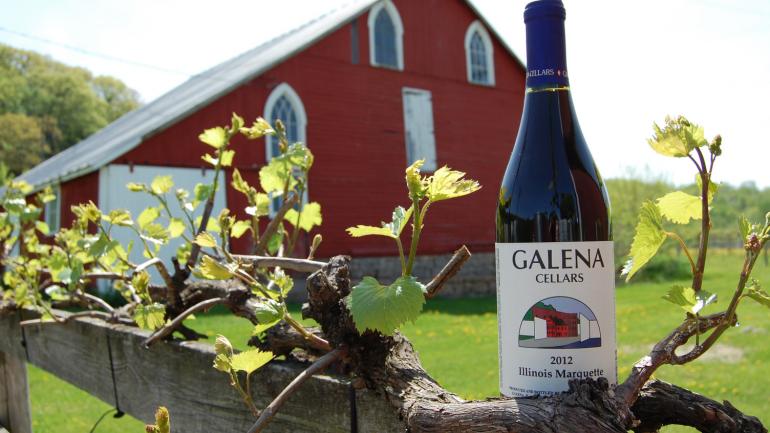 Galardonado vino estilo pinot de Galena Cellars Vineyard & Winery Galardonado vino estilo pinot de Galena Cellars Vineyard & Winery