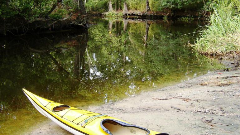 Cane Bayou is a popular spot for a serene kayaking trip Cane Bayou is a popular spot for a serene kayaking trip