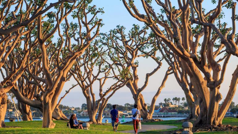 Sunset approaches at the San Diego Waterfront Park Sunset approaches at the San Diego Waterfront Park