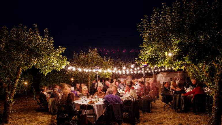 Sharing a meal under the stars paired with wine in a local vineyard Sharing a meal under the stars paired with wine in a local vineyard