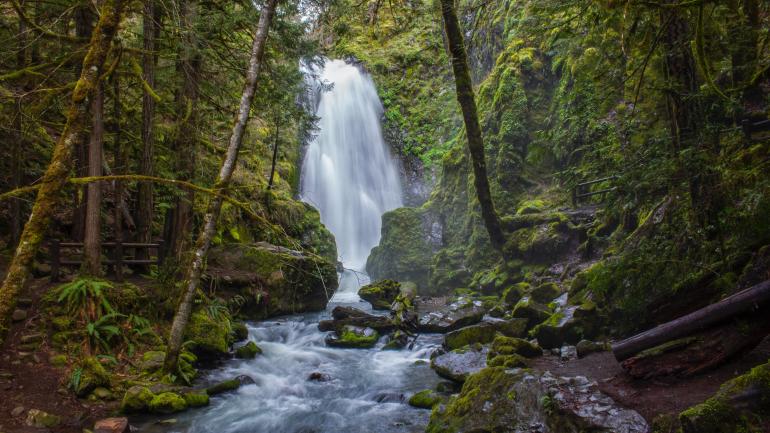 Hiking forest trails to see the power and beauty of a waterfall Hiking forest trails to see the power and beauty of a waterfall