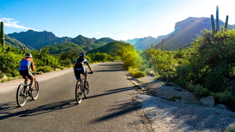 Mountain bikers cruising along a scenic byway in Tucson Mountain bikers cruising along a scenic byway in Tucson