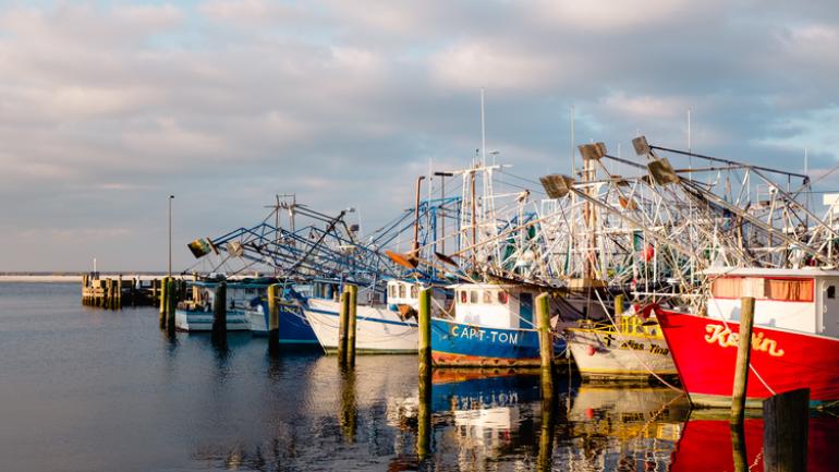 Biloxi Fish Boats Biloxi Fish Boats