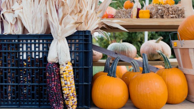 seasonal foods from Michigan seasonal foods from Michigan