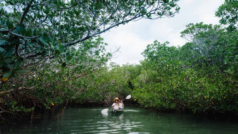 Kayaking in Key West Kayaking in Key West