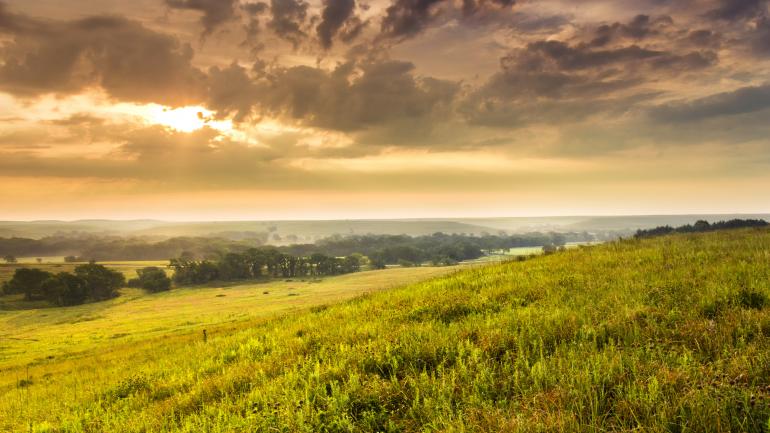 The wide-open tallgrass prairies of Kansas The wide-open tallgrass prairies of Kansas
