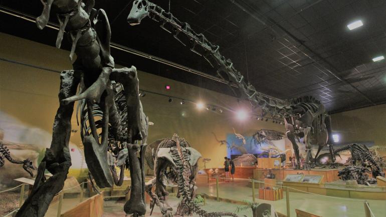 The impressive exhibits of the Wyoming Dinosaur Center in Thermopolis, Wyoming The impressive exhibits of the Wyoming Dinosaur Center in Thermopolis, Wyoming